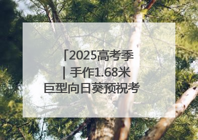 2025高考季｜手作1.68米巨型向日葵预祝考生“一举夺魁”