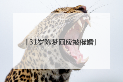 31岁陈梦回应被催婚