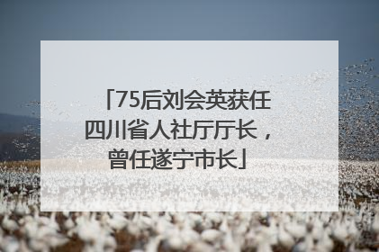 75后刘会英获任四川省人社厅厅长，曾任遂宁市长