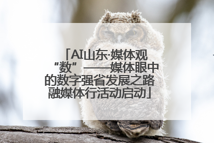 AI山东·媒体观“数”——媒体眼中的数字强省发展之路融媒体行活动启动